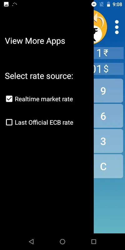 My Rupee Panic at Midnight Market