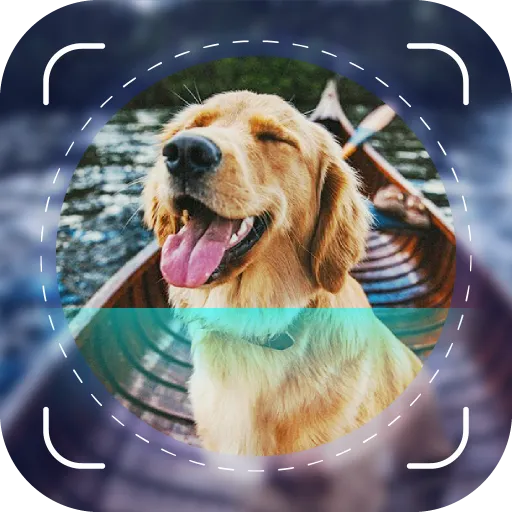 Dog Scanner