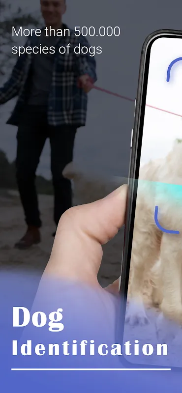 My Canine Curiosity Solved by AI