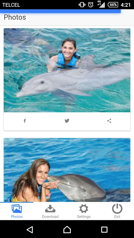 Dolphin Memories Dolphin Memories