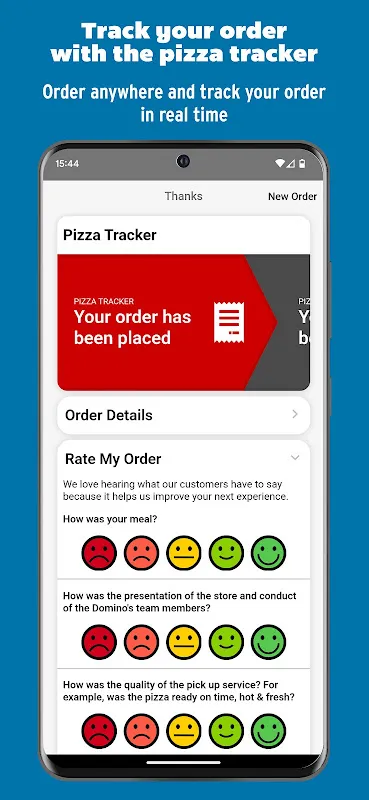 Domino's Pizza France Domino's Pizza France