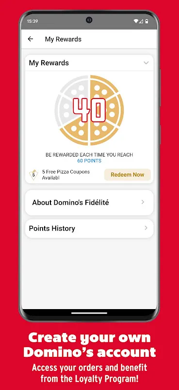 Domino's Pizza France Domino's Pizza France