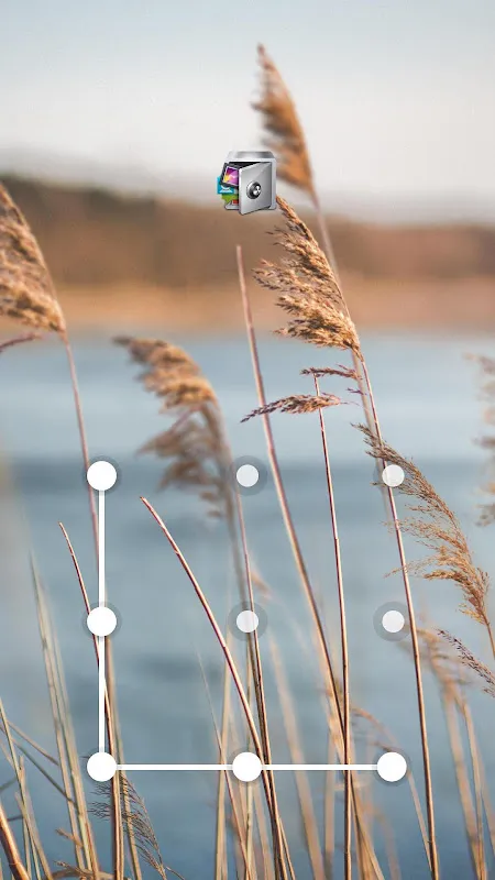 AppLock Live Theme Reeds AppLock Live Theme Reeds