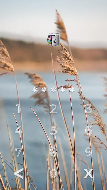 AppLock Live Theme Reeds AppLock Live Theme Reeds