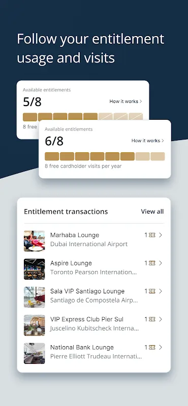 Visa Airport Companion Visa Airport Companion
