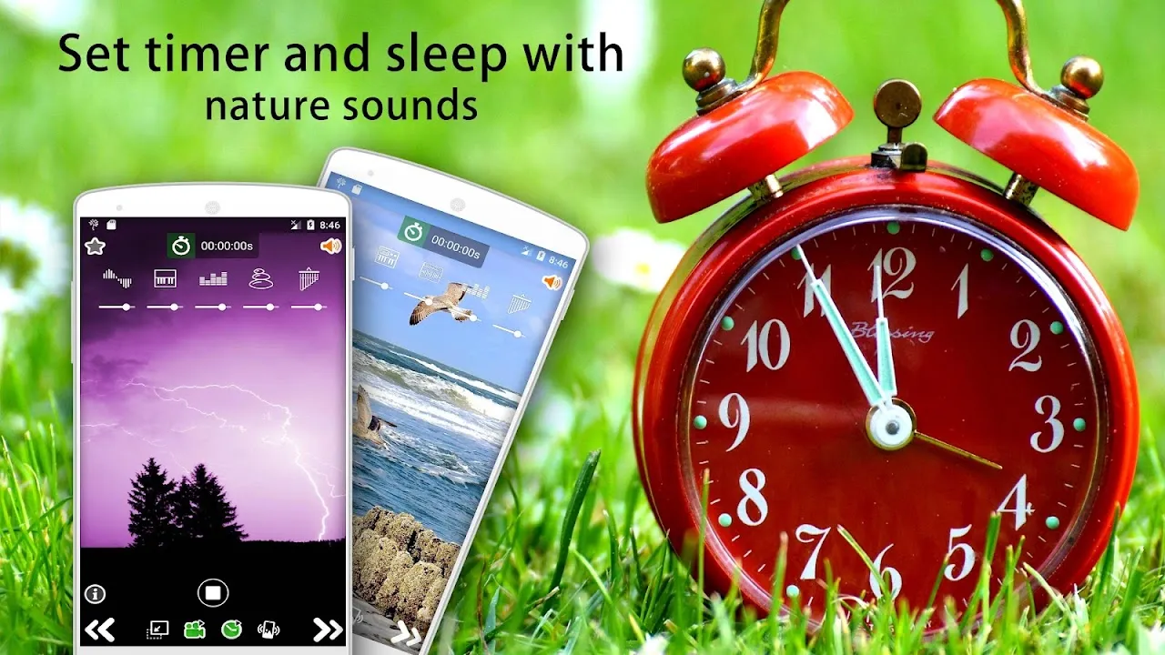 Nature Sounds Nature Sounds