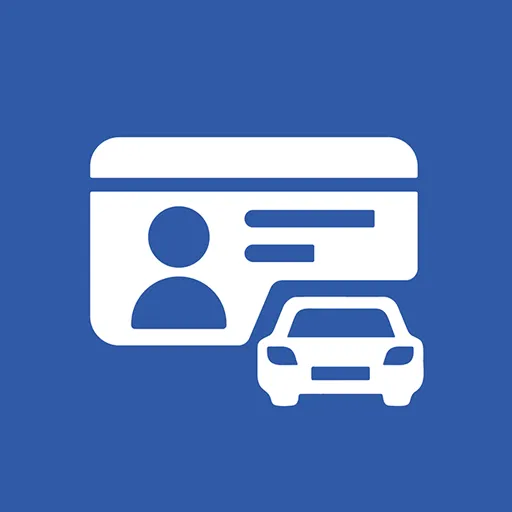 Driver Codes - Driving Licence