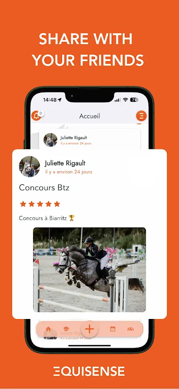 My Digital Equestrian Savior