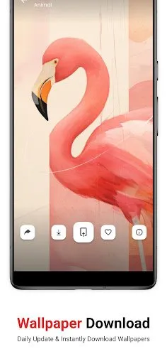 4K Wallpapers 4K Wallpapers