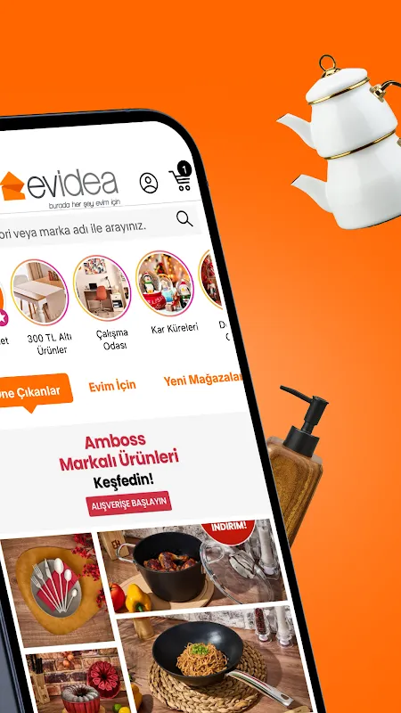 Evidea Evidea
