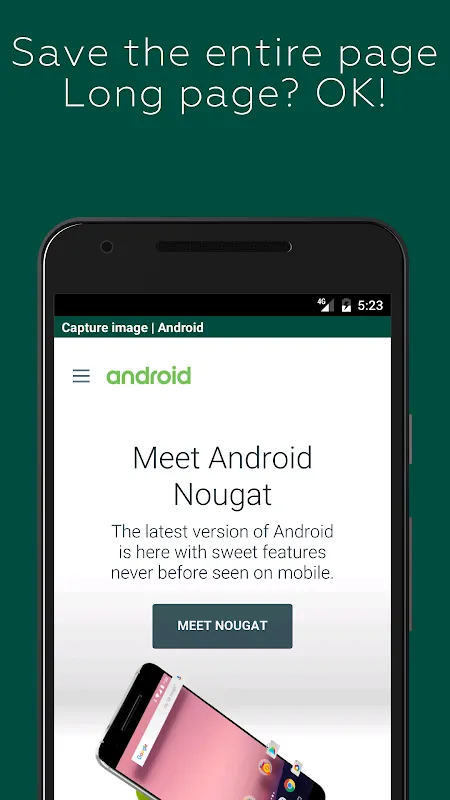 Capture Clipper Capture Clipper