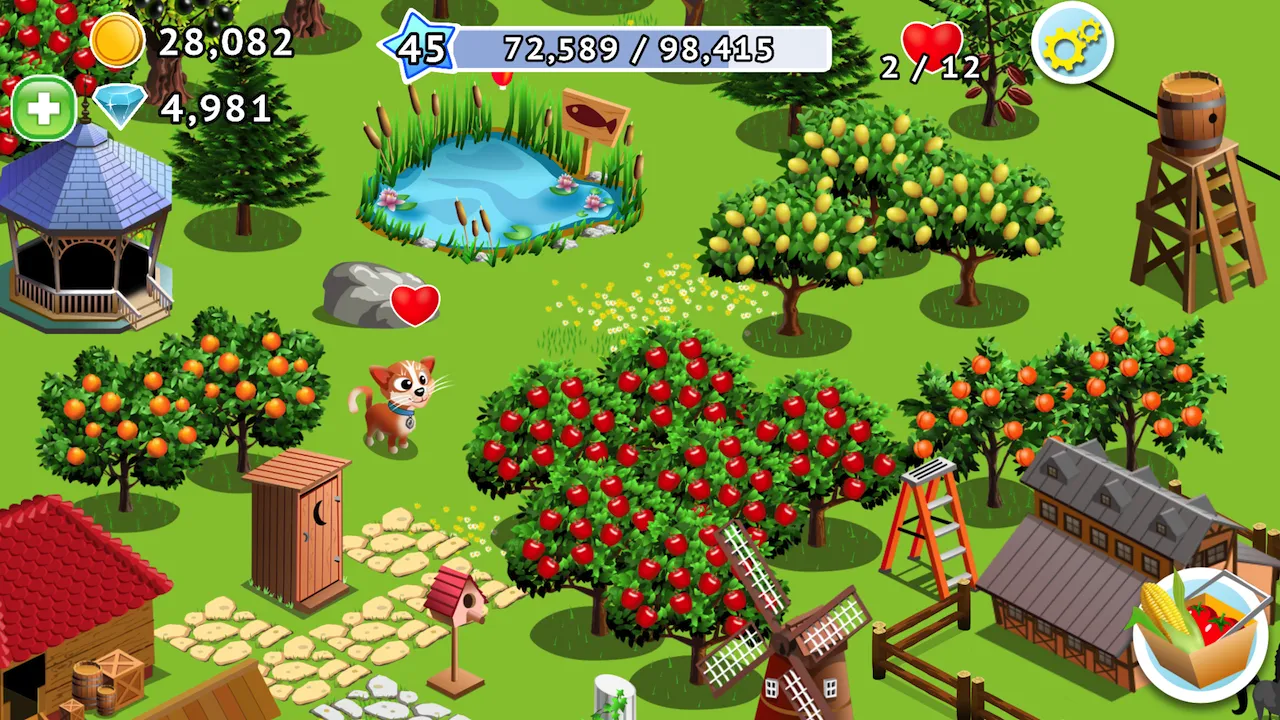 My New Farm My New Farm
