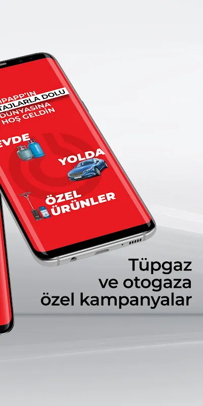 iPApp iPApp