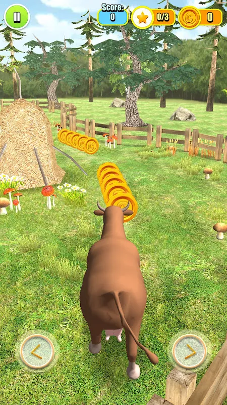 Cow Farm Cow Farm