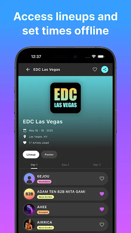 Festival Dust Festival Dust