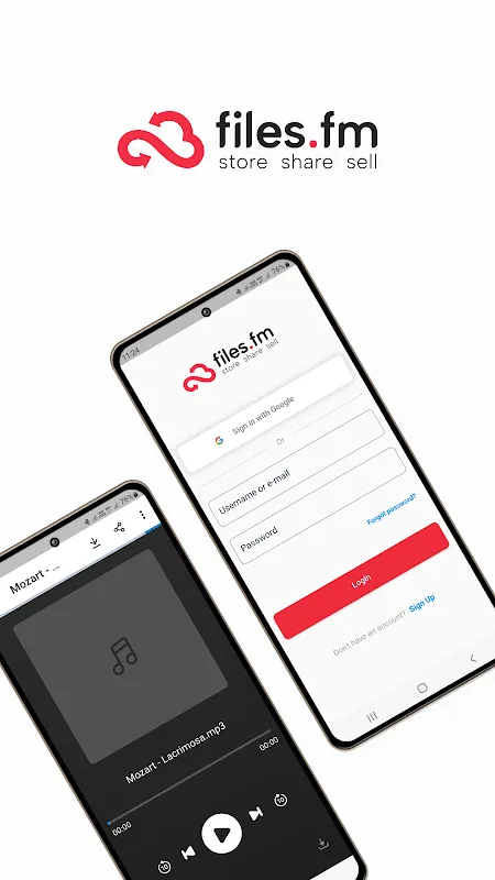 Files Cloud Storage & Backup Files Cloud Storage & Backup
