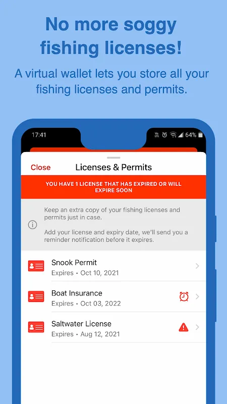 That Unexpected Catch: When FishVerify Became My Lifeline