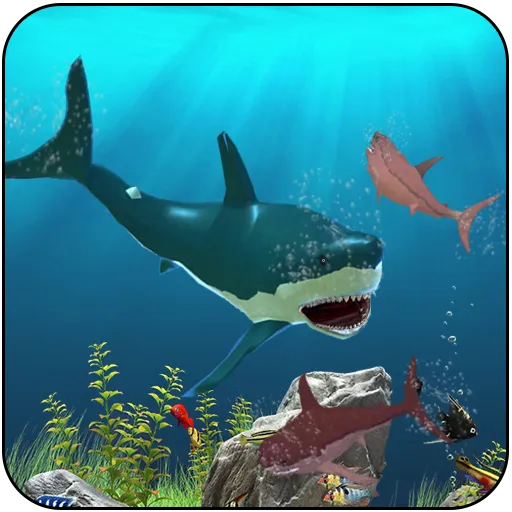 Big Shark Vs Small Sharks