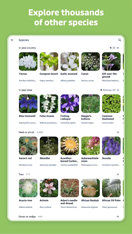 Flora Incognita Flora Incognita