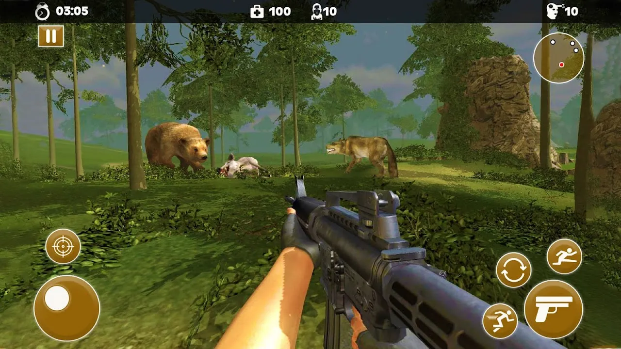 Wild Animal Bear Attack Wild Animal Bear Attack