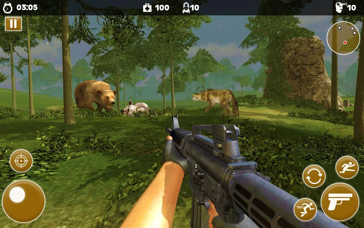 Wild Animal Bear Attack Wild Animal Bear Attack