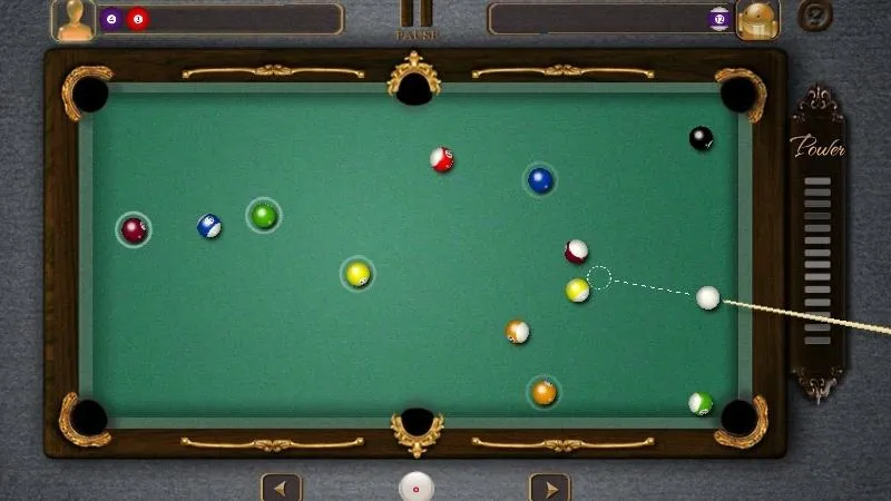 My Pocket Pool Sanctuary