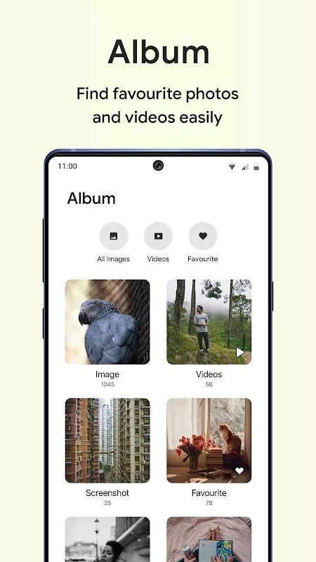 Gallery - Photos & Videos Gallery - Photos & Videos