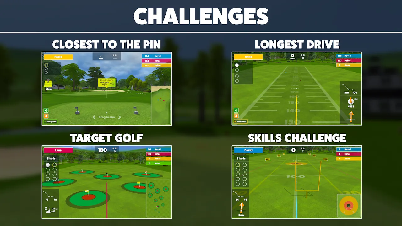 Awesome Golf Simulator Awesome Golf Simulator