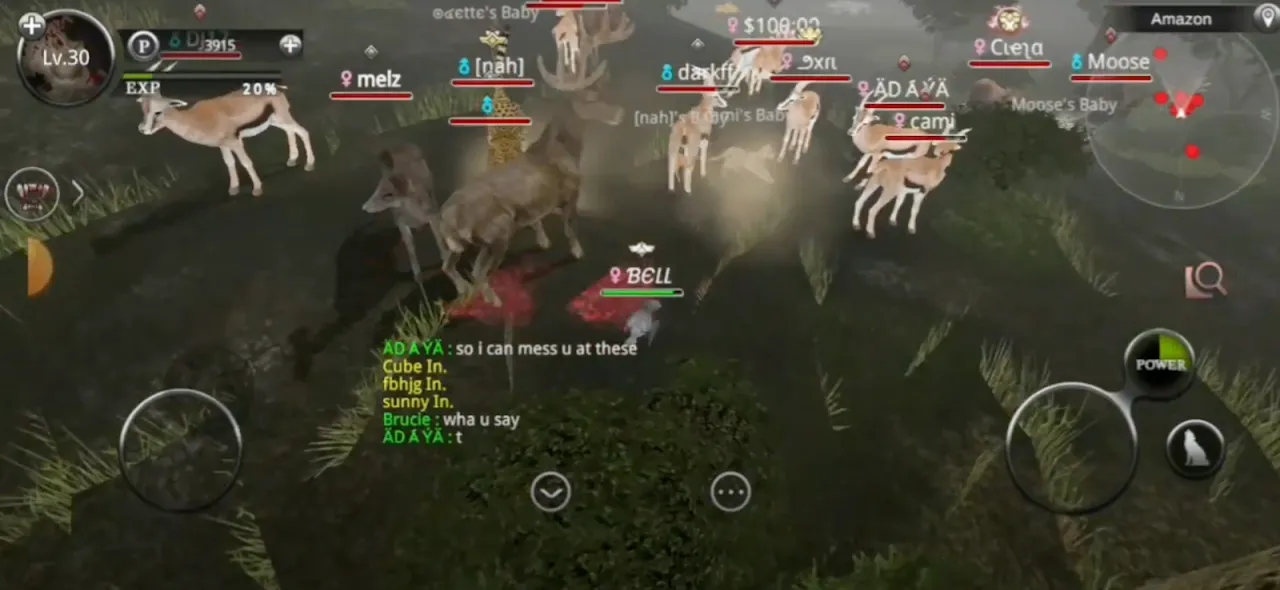 Wild Animals Online(WAO) Wild Animals Online(WAO)