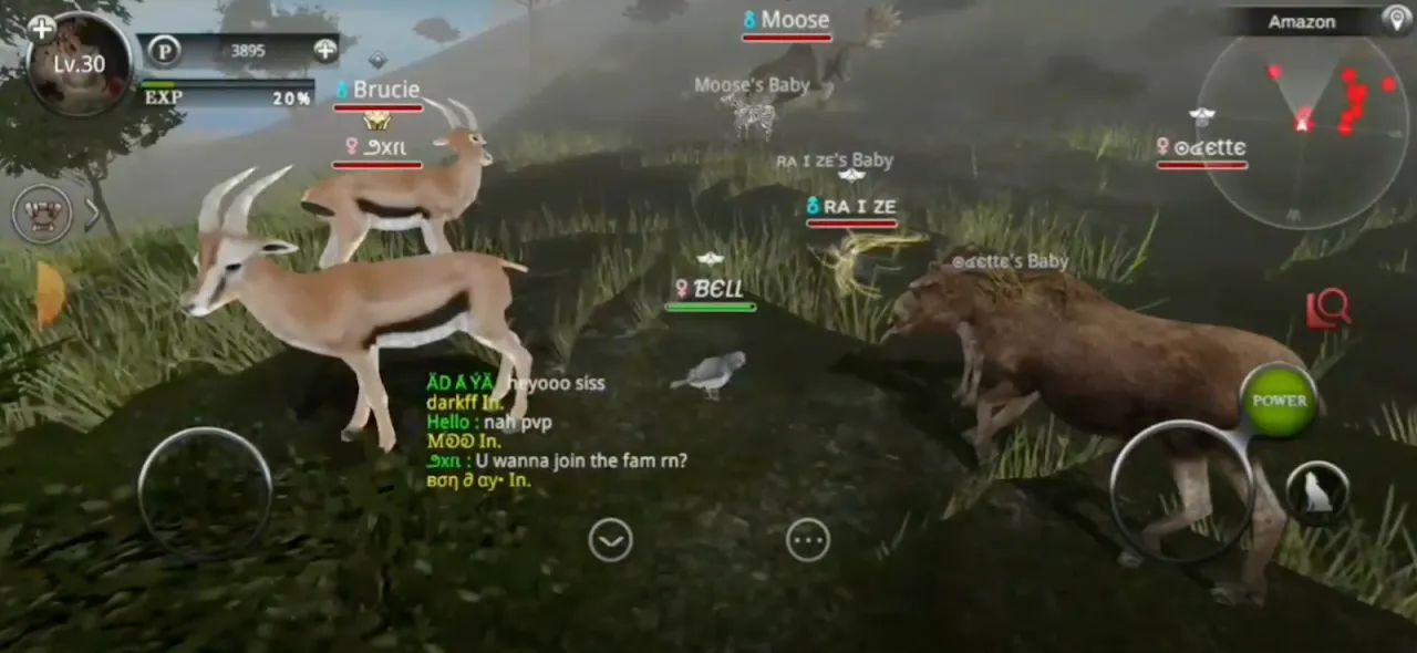 Wild Animals Online(WAO) Wild Animals Online(WAO)
