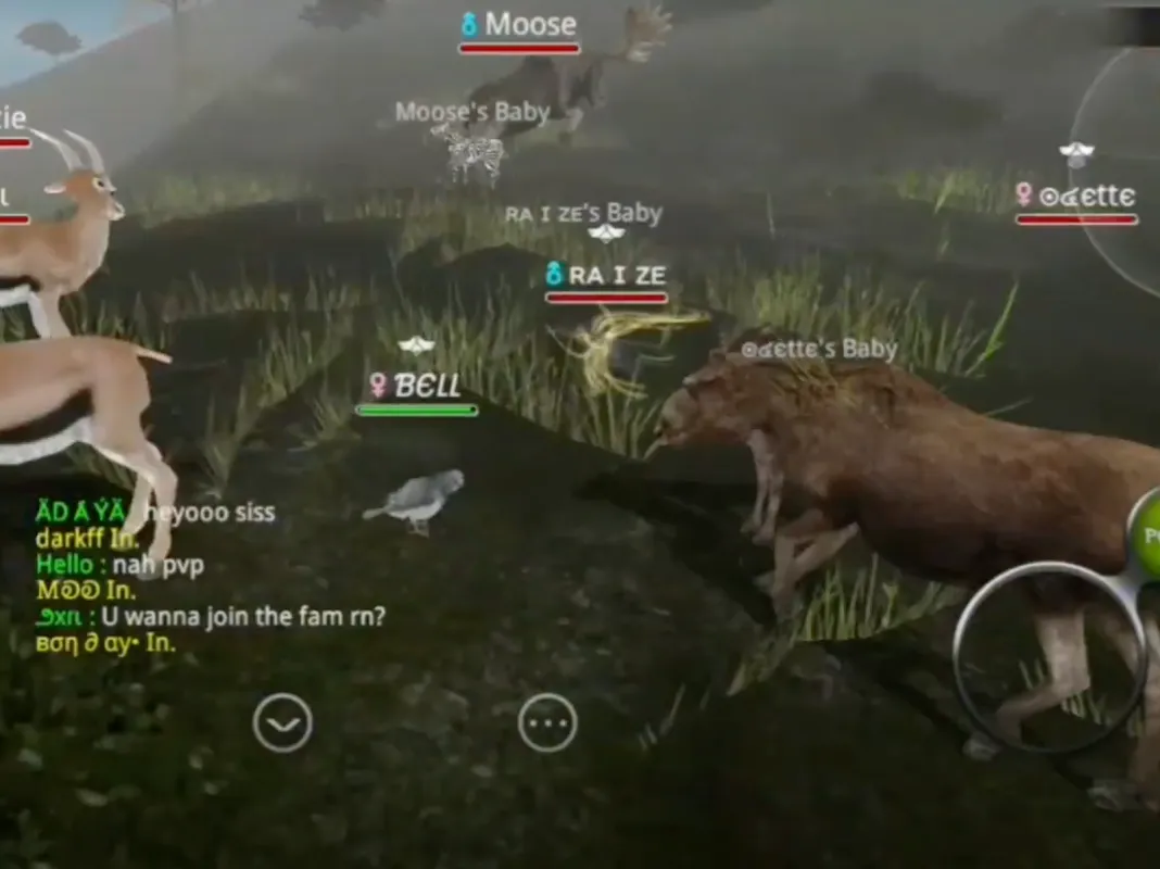 Wild Animals Online(WAO) Wild Animals Online(WAO)