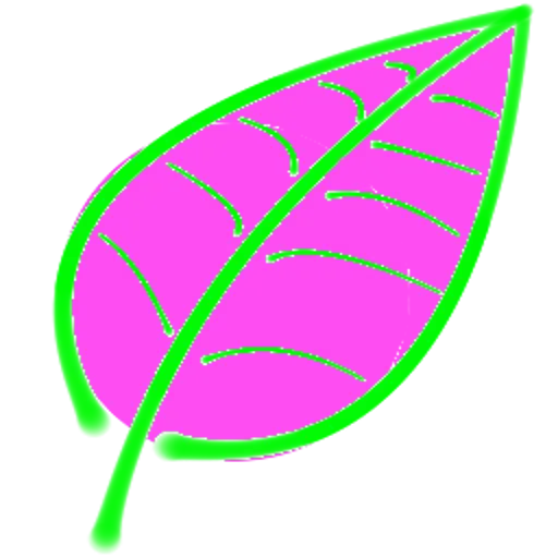 Imscope