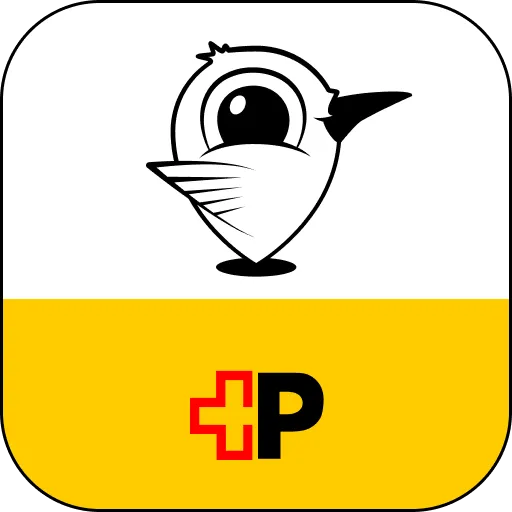 PubliCar