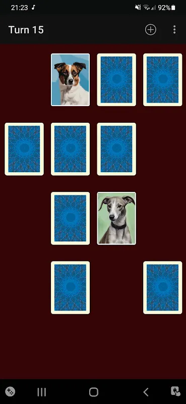 Memory Match Cards Memory Match Cards
