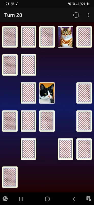 Memory Match Cards Memory Match Cards