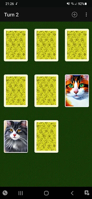 Memory Match Cards Memory Match Cards