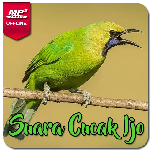 Masteran Cucak Ijo Gacor