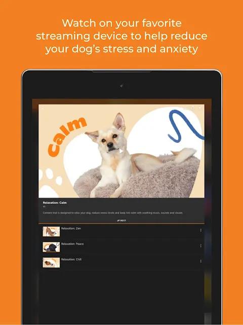DOGTV DOGTV