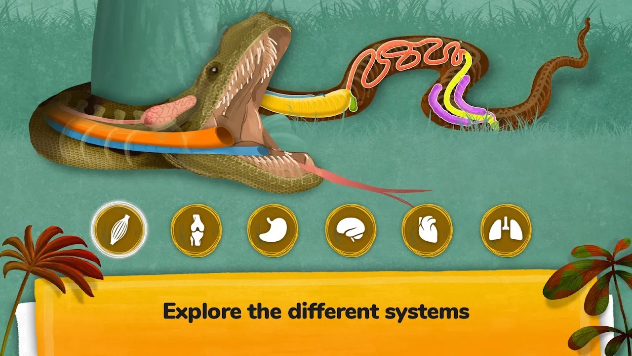 The Animals The Animals