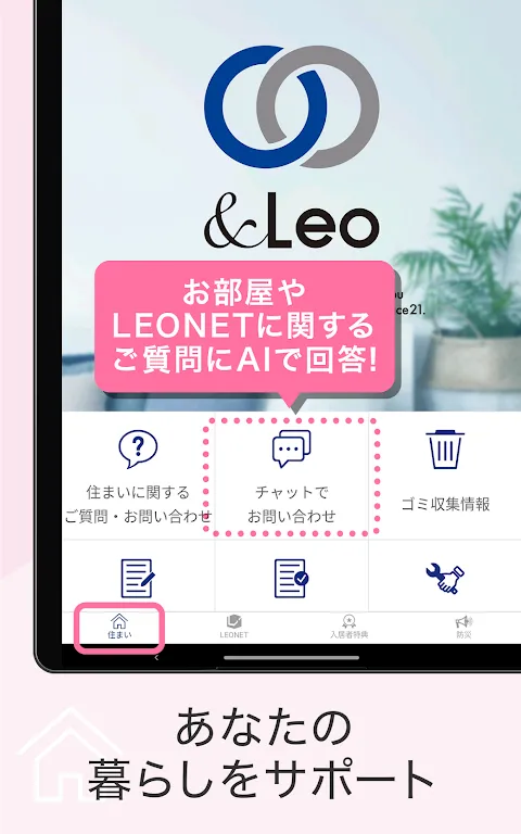 &Leo &Leo