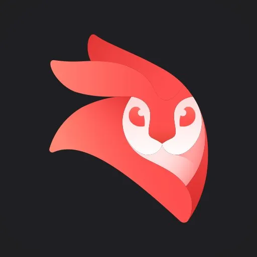 Videoleap App