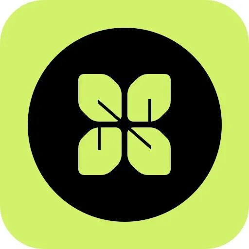 Live VPN