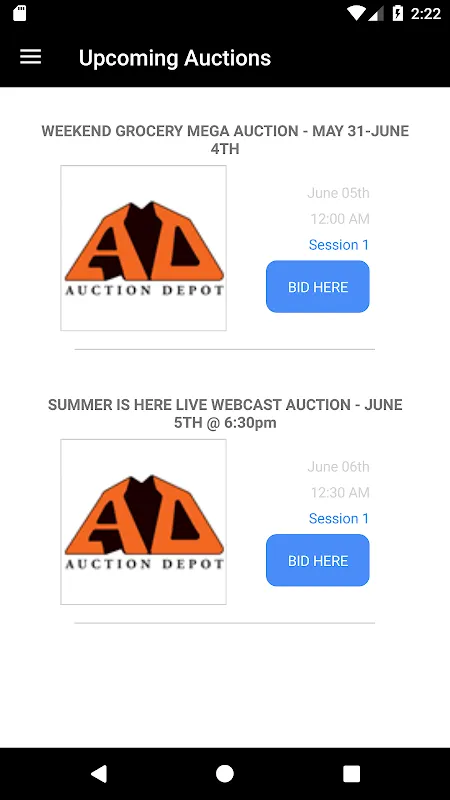 AD Auction Depot Inc. AD Auction Depot Inc.