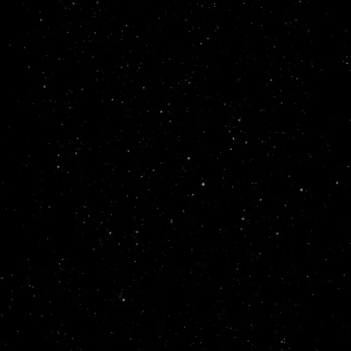 Black Live Wallpaper