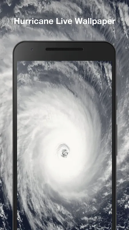 Living Through Digital Storms