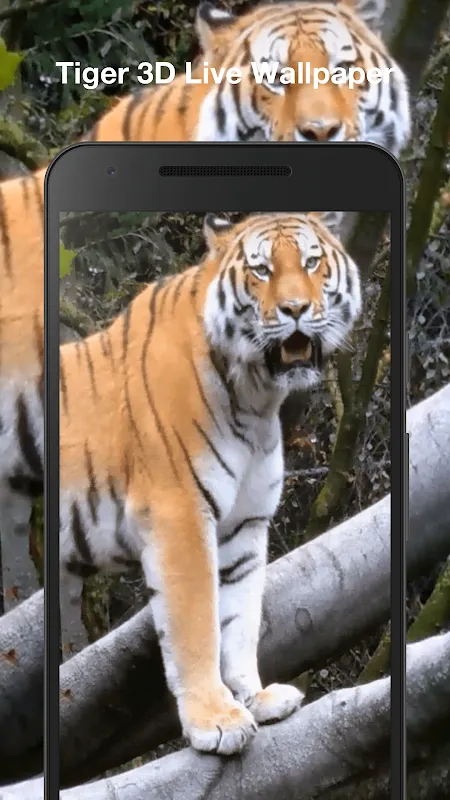 My Screen's Jungle Pulse
