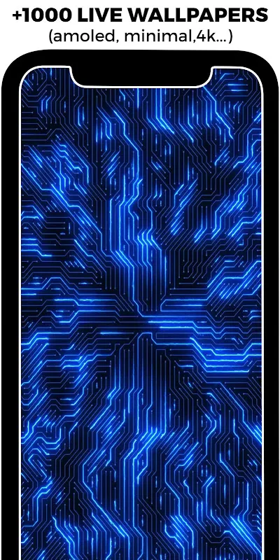 Walloop: A Personal Screen Revival