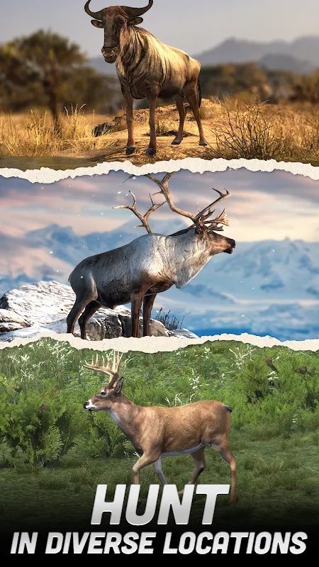 Hunting Battle Hunting Battle