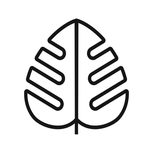 Monstera - Growing guides
