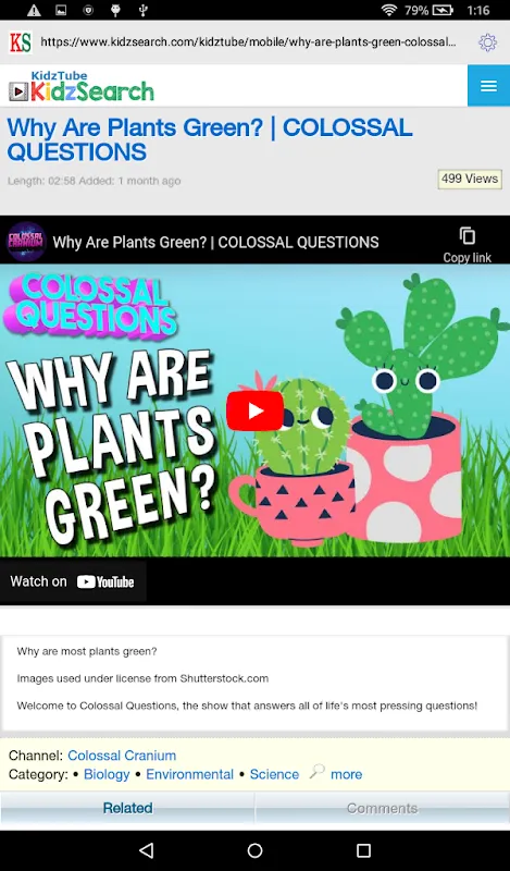 KidzSearch KidzSearch